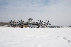 kiev ukraine stefano majno bear bomber snow.jpg